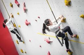 日本职棒观赛文化的独特之处